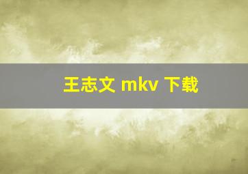 王志文 mkv 下载